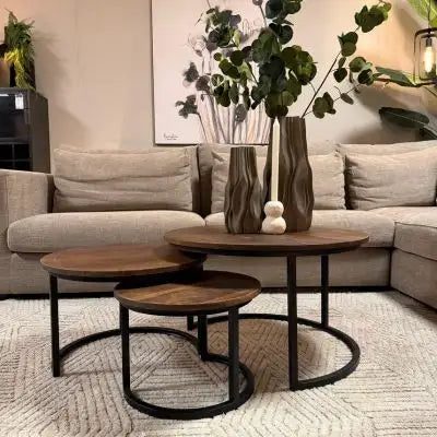 Salontafel Mangohout Set van 3 - Large