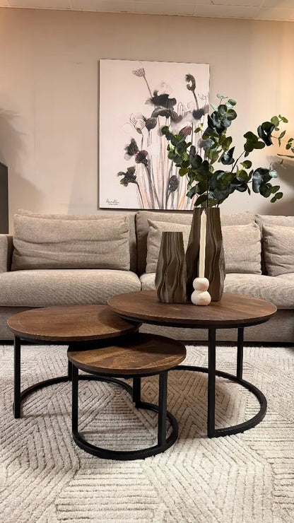 Salontafel Mangohout Set van 3 - Large